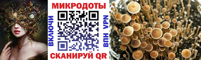 Псилоцибиновые грибы ЛСД  Болотное 
